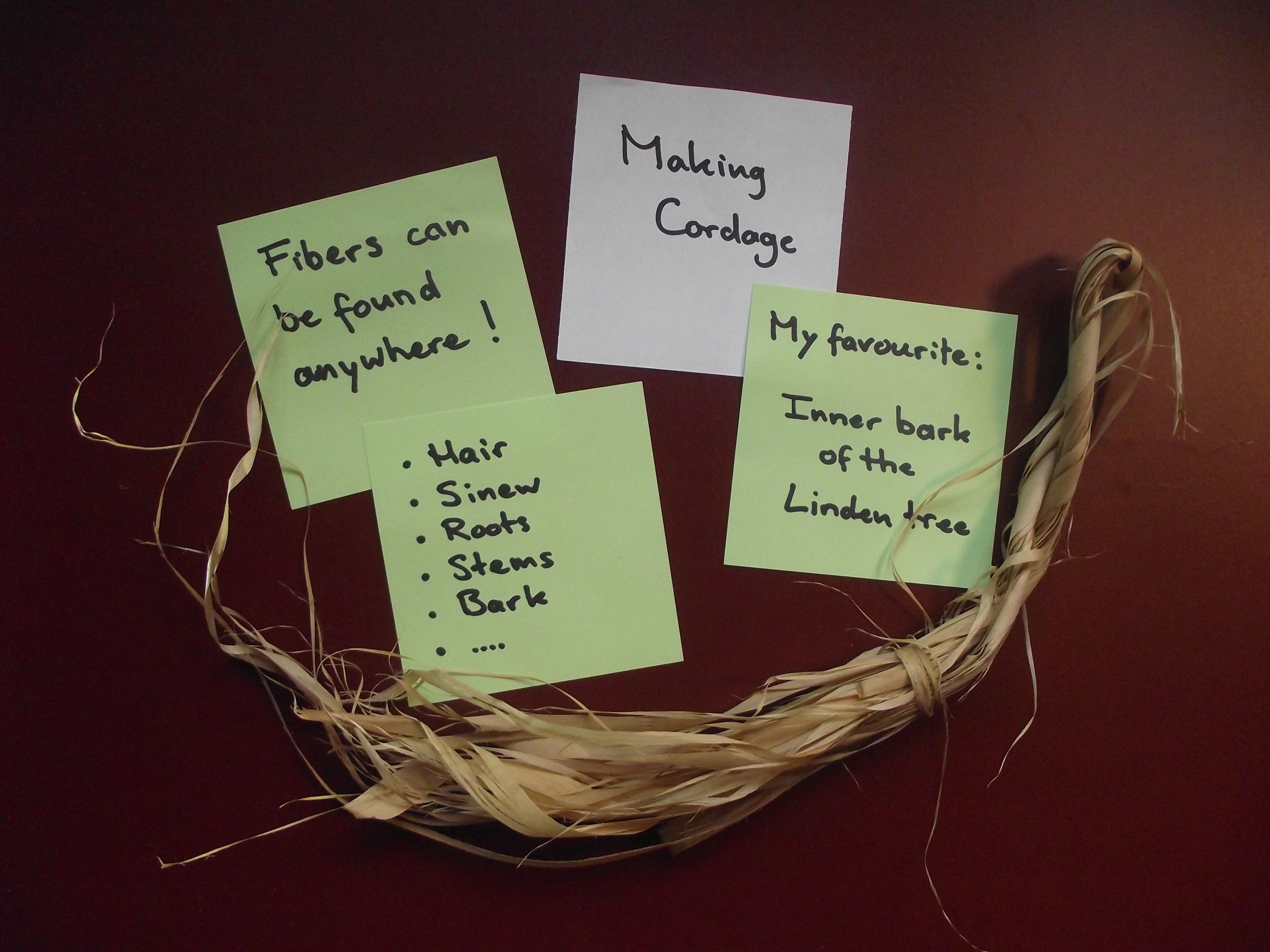 Making Cordage - Fibers